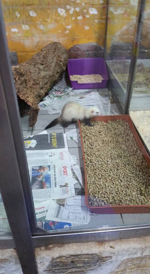 Biggest pet shop in the world